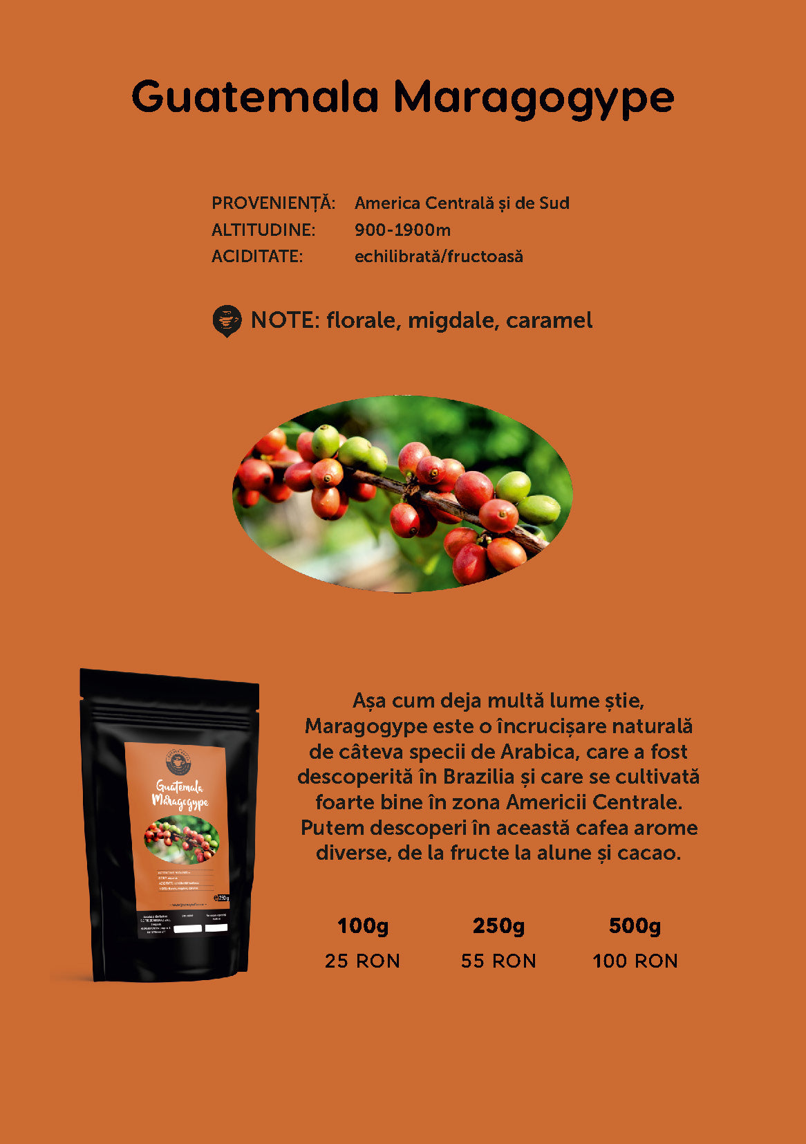 Guatemala Maragogype