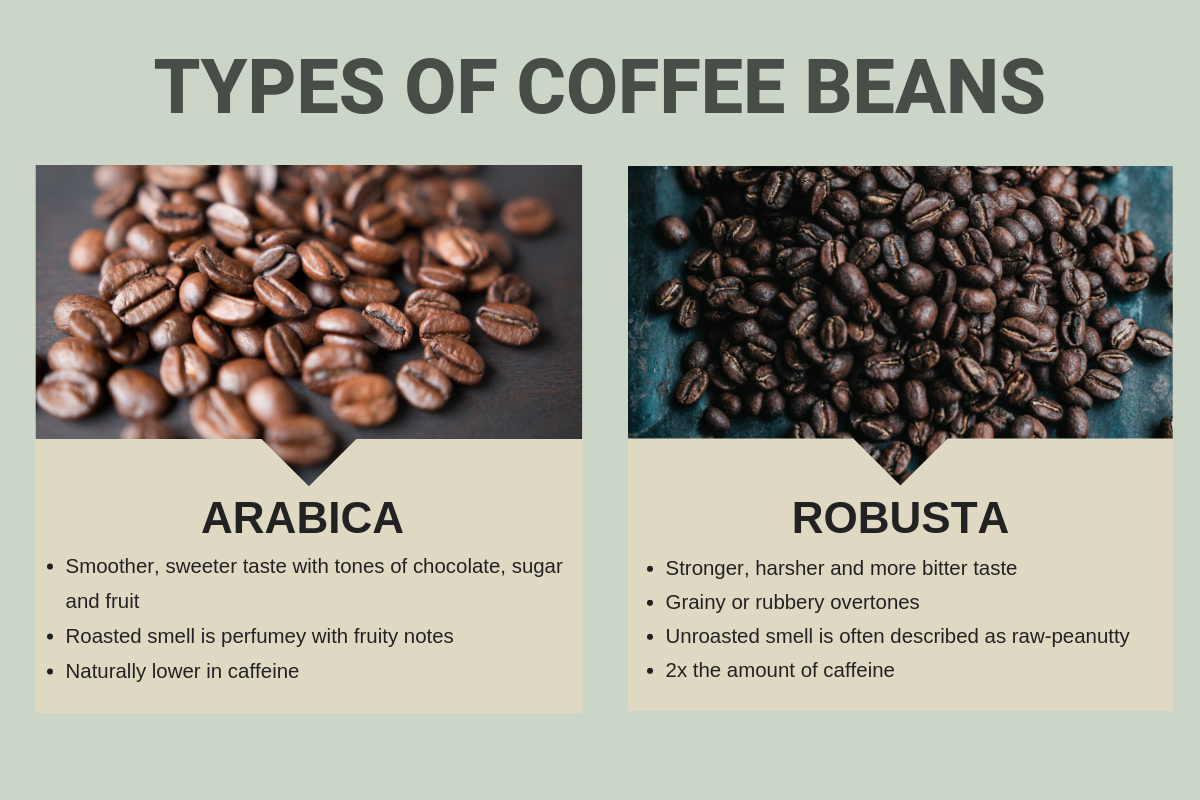 Blend Journey Kaffa